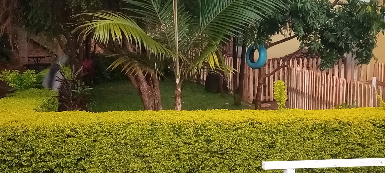 Twiga Park Resort gardens and pool at dusk